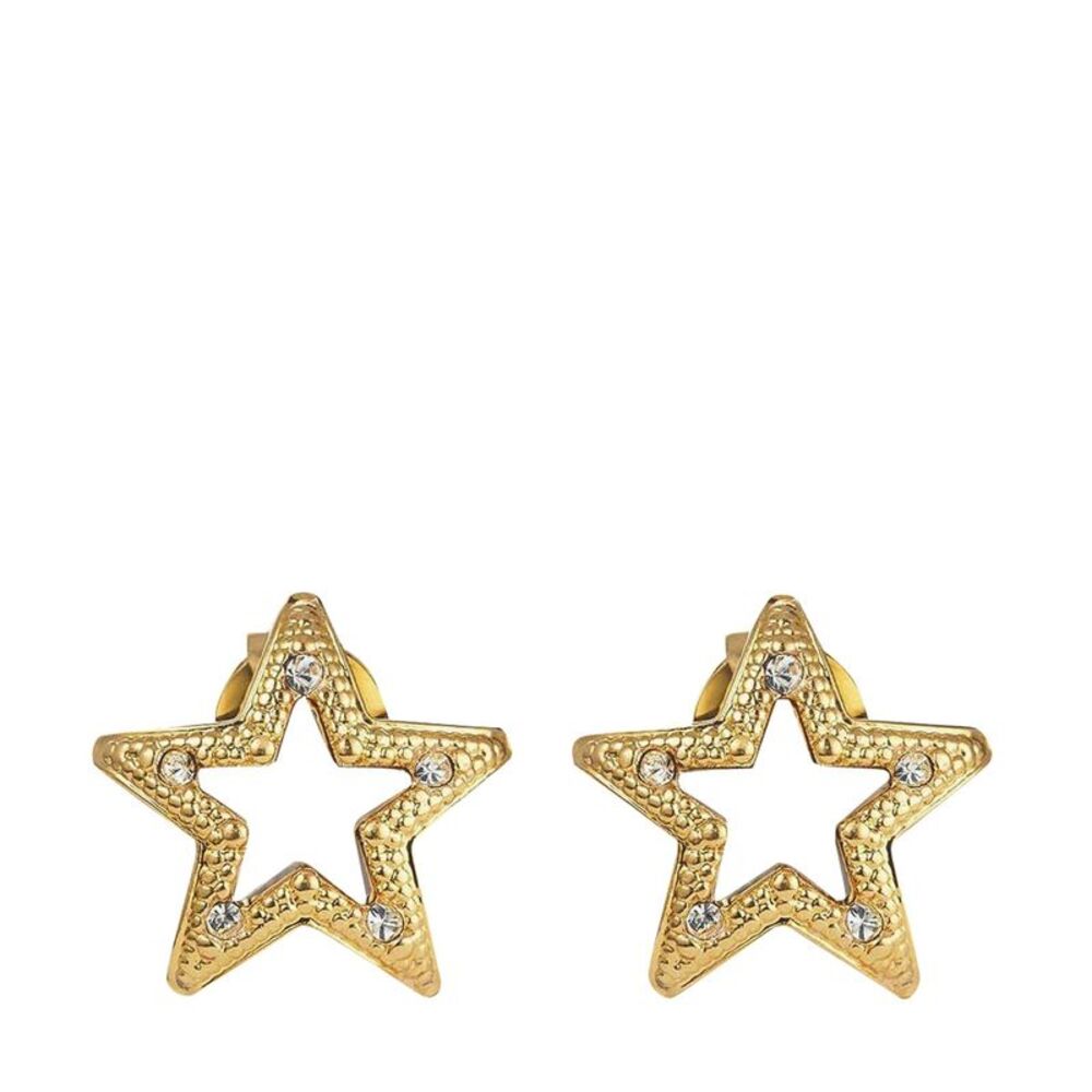 Jimmy Choo Women Jc Star Studs Earrings